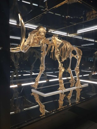 File Oct 29, 14 22 46.jpeg