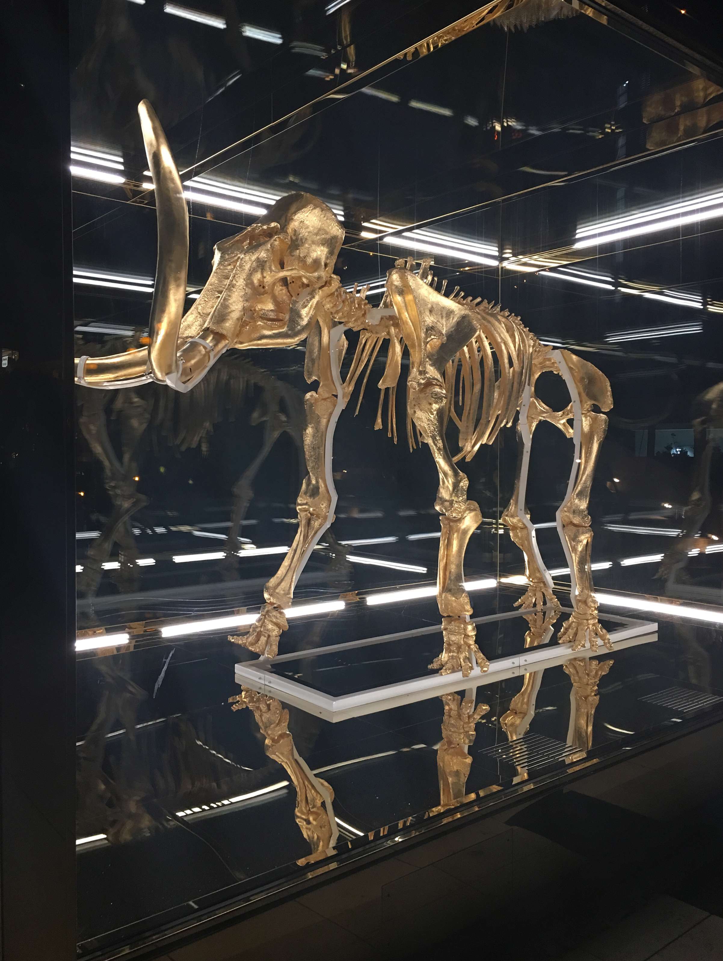 File Oct 29, 14 22 46.jpeg